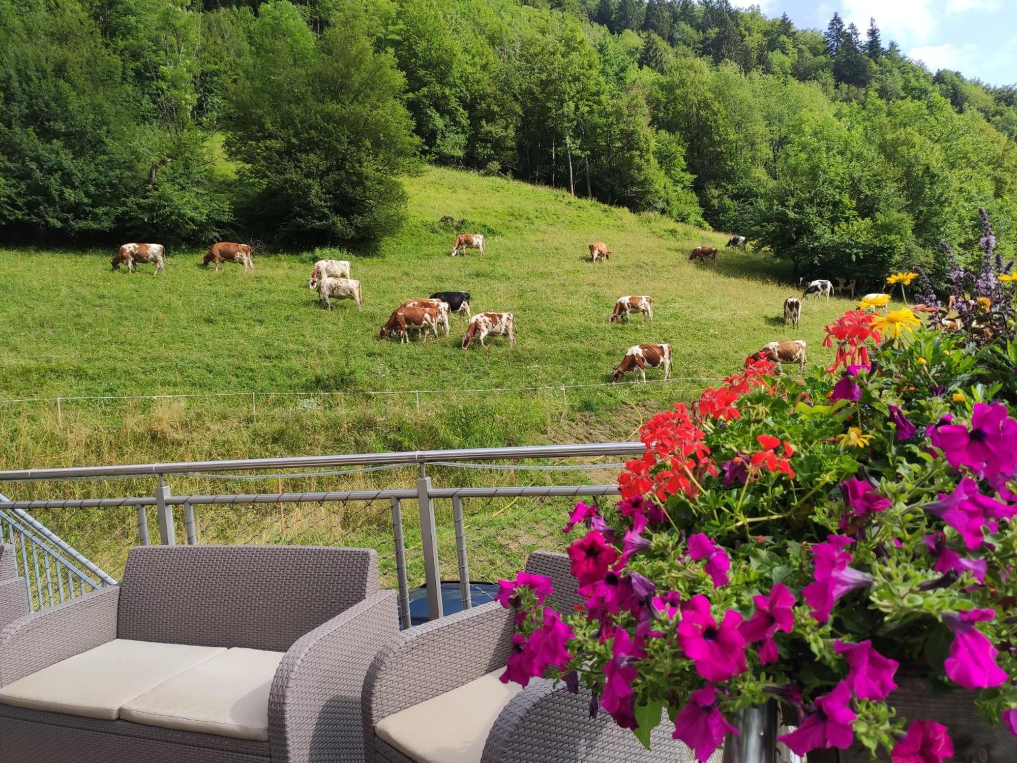 Les Chemins Du Leman Hotel Novel Exterior foto